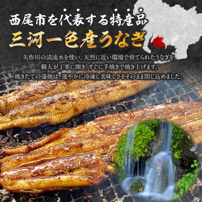 三河一色産手焼きうなぎの蒲焼と肝焼【蒲焼パック冷凍×3尾、肝焼×3個】・M099