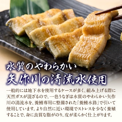 炭火手焼きうなぎ白焼き2尾 化粧箱入(1尾あたり155g以上)・S102