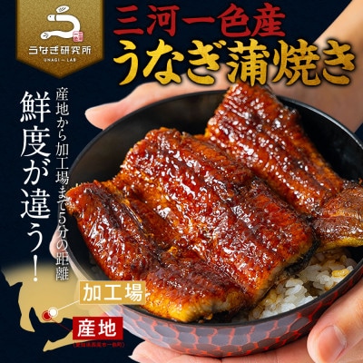 三河一色産うなぎ蒲焼　カット4個(280g以上)・R009