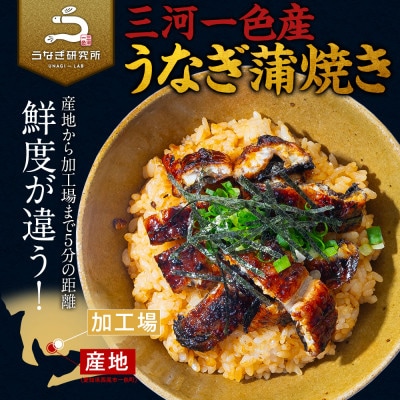 三河一色産うなぎ蒲焼　きざみうなぎ 4個(280g以上)・R010