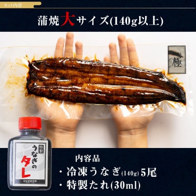 三河一色産うなぎ蒲焼大5尾(計700g以上)・R043