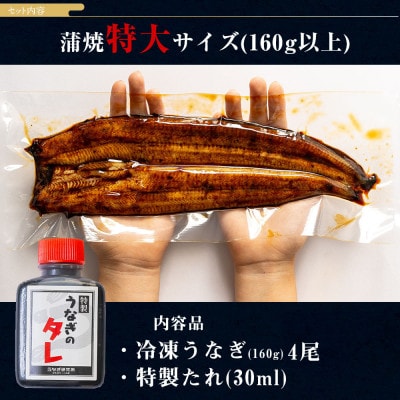 三河一色産うなぎ蒲焼特大4尾(計640g以上)・R044