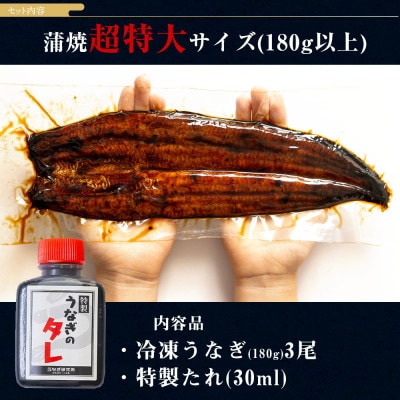 三河一色産うなぎ蒲焼超特大3尾(計540g以上)・R047