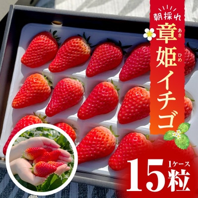 章姫(あきひめ)イチゴ15粒×1ケース 【生産地】愛知県西尾市産