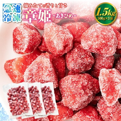 至福の凍果　章姫(あきひめ)500g×3袋・D037 【生産地】愛知県西尾市産