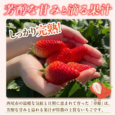 至福の凍果　章姫(あきひめ)500g×3袋・D037 【生産地】愛知県西尾市産