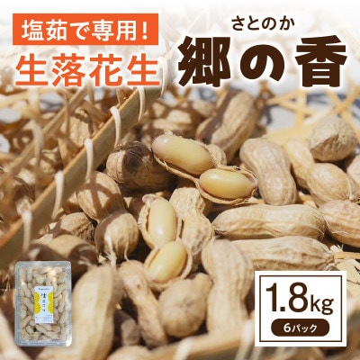 2025年7月中旬～2025年8月中旬発送予定　塩茹で専用!生落花生『300g×6パック』・S063