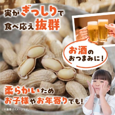 2025年7月中旬～2025年8月中旬発送予定　塩茹で専用!生落花生『300g×6パック』・S063