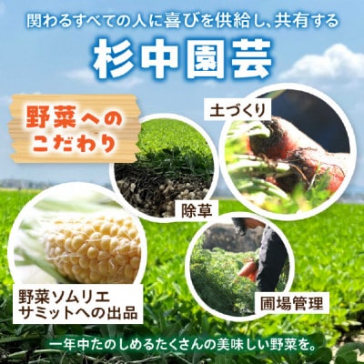 2025年7月中旬～2025年8月中旬発送予定　塩茹で専用!生落花生『300g×6パック』・S063