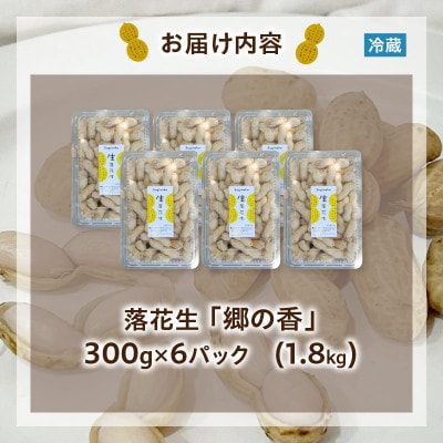 2025年7月中旬～2025年8月中旬発送予定　塩茹で専用!生落花生『300g×6パック』・S063