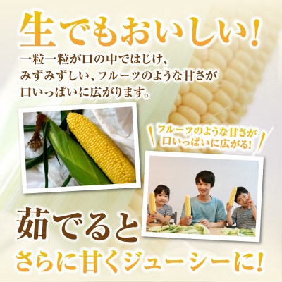 朝採れ!プレミアム味来～金色の実り～10本・S065