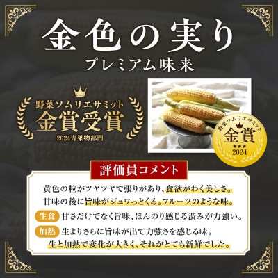 2025年6月中旬～2025年7月下旬発送予定　朝採れ!プレミアム味来～金色の実り～20本・S066