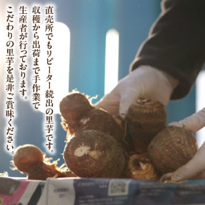 ＜10月上旬～11月下旬発送予定＞絶品里芋　～天晴れ～　6kg・S068