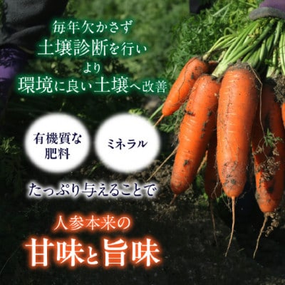 ＜2025年1月上旬～2025年3月中発送予定＞【冬季限定】フルーツみたいに甘い人参4kg・S069
