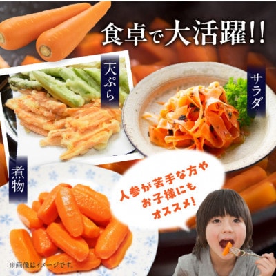 ＜2025年1月上旬～2025年3月中発送予定＞【冬季限定】フルーツみたいに甘い人参4kg・S069