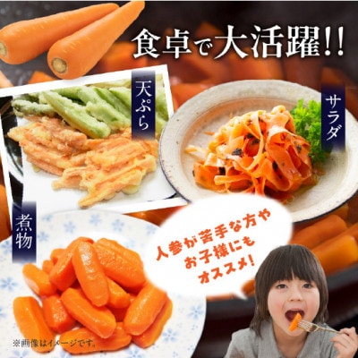 ＜2026年1月上旬～2月下旬発送予定＞【冬季限定】フルーツみたいに甘い人参9kg・S070
