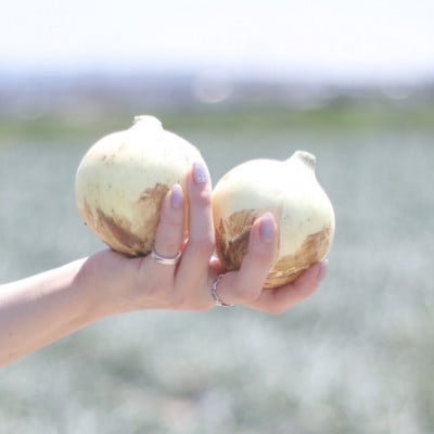 口に広がる優しい甘さの玉ねぎ ～真玉～　5kg(箱の重さ込み)・S097