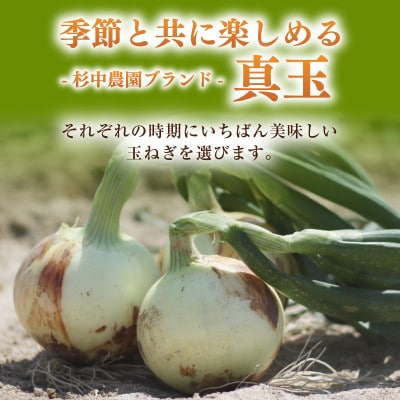 口に広がる優しい甘さの玉ねぎ ～真玉～　10kg(箱の重さ込み)・S098