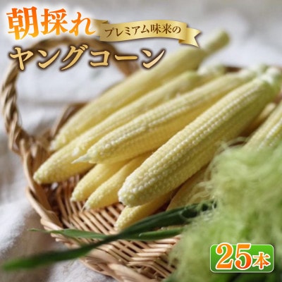 朝採れ!プレミアム味来のヤングコーン25本・S099