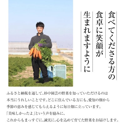 朝採れ!プレミアム味来のヤングコーン25本・S099