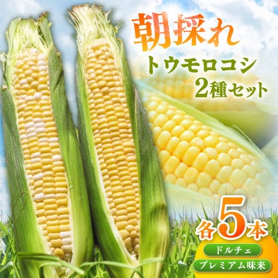 朝採れ!とうもろこし2種セット「プレミアム味来&ドルチェ」各5本・S101