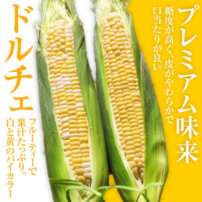 朝採れ!とうもろこし2種セット「プレミアム味来&ドルチェ」各5本・S101