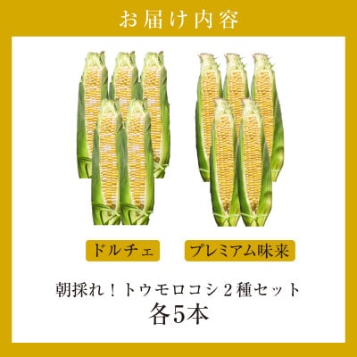 朝採れ!とうもろこし2種セット「プレミアム味来&ドルチェ」各5本・S101