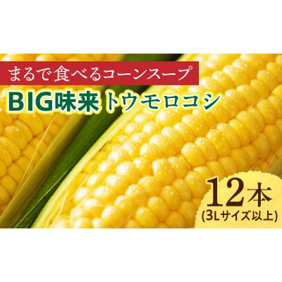 まるで食べるコーンスープ【BIG味来】12本 とうもろこし・H061