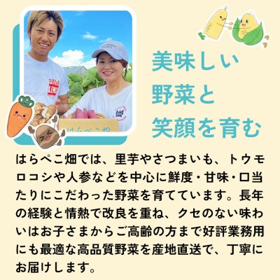 【感動の甘さ】とうもろこしプレミアム味来  6本入り/2箱・H075-18