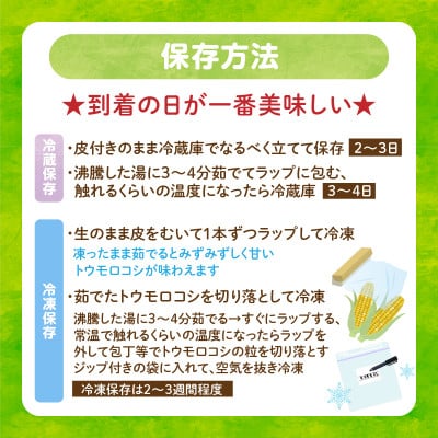 まるで食べるコーンスープ【BIG味来】12本 とうもろこし・H061