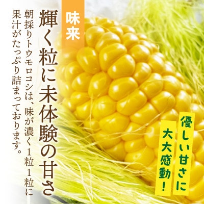 あなたはどっち派!?　味来vsドルチェドリーム楽しい食べ比べセット8本入・H062