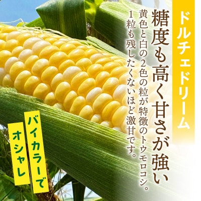 あなたはどっち派!?　味来vsドルチェドリーム楽しい食べ比べセット8本入・H062