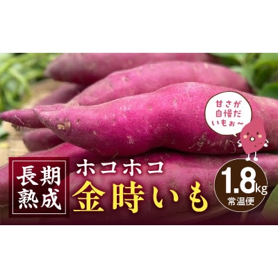 長期熟成　ホコホコ金時いも 1.8kg・H060