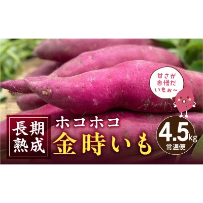 長期熟成　ホコホコ金時いも 4.5kg・H064