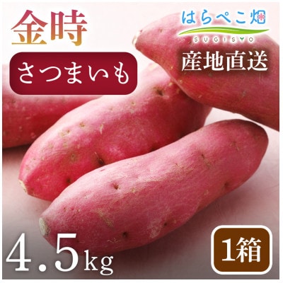 【ホックホク食感の優しい甘み】さつまいも金時 4.5kg1箱・H064