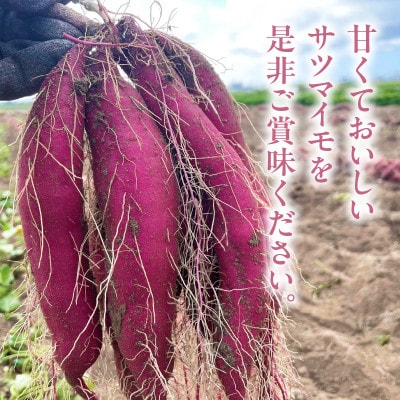 長期熟成　ホコホコ金時いも 4.5kg・H064