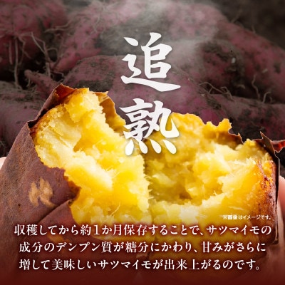 長期熟成　ホコホコ金時いも 4.5kg・H064