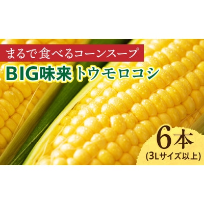 まるで食べるコーンスープ【BIG味来】6本 とうもろこし・H065
