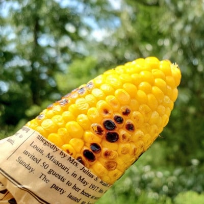 まるで食べるコーンスープ【プレミアム味来】6本・H065-10-1