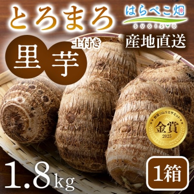 【粘りと甘みが段違い】里芋『とろまろ』土付き・1.8kg1箱・H063