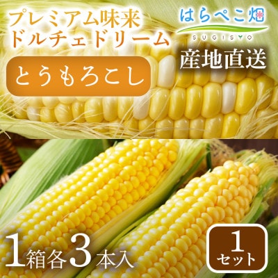 【人気の2品種を食べ比べ】とうもろこし2種各3本×1セット・H073-11