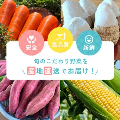 【人気の2品種を食べ比べ】とうもろこし2種各3本×1セット・H073-11