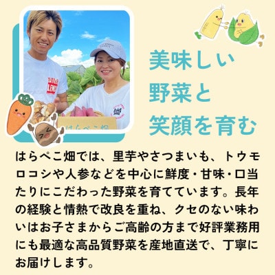 【人気の2品種を食べ比べ】とうもろこし2種各3本×1セット・H073-11