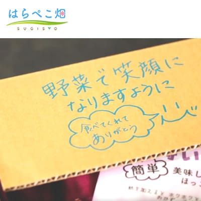 【人気の2品種を食べ比べ】とうもろこし2種各3本×1セット・H073-11