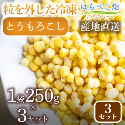 粒を外した冷凍とうもろこし(1袋250g×3) 3セット・H093