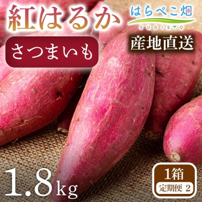 【定期便2ヶ月】さつまいも 紅はるか(1.8kg)1箱・H095
