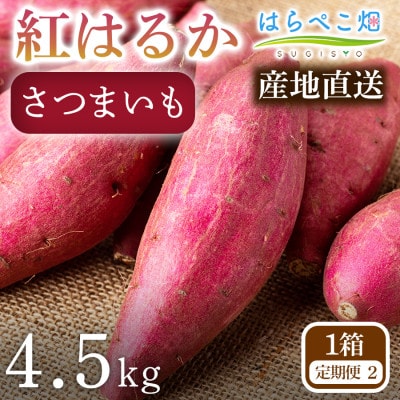 【定期便2ヶ月】さつまいも 紅はるか(4.5kg) 1箱・H097