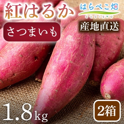 【ねっとり甘い蜜芋】さつまいも 紅はるか(1.8kg)2箱・H100