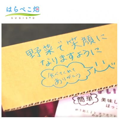 【ねっとり甘い蜜芋】さつまいも 紅はるか(1.8kg)3箱・H101