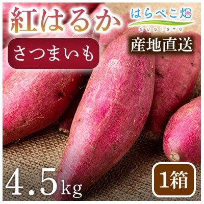 【ねっとり甘い蜜芋】さつまいも 紅はるか(4.5kg) 1箱 ・H102
